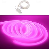 billiga Plug Strip Lights-LED neonljus, AC 220-240V flexibel dimbar &amp;vattentät neon LED-ljusregulator för dekoration