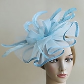 voordelige Fascinators-fascinators Veer Netto Bruiloft Verjaardag Elegant Vintage leuke Style Met Veer Tule Helm Hoofddeksels