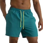 economico Costumi da Bagno per Uomini-Per uomo Shorts Shorts da Spiaggia Pantaloncini casual Coulisse Tasca Elastico in vita Semplice Impermeabile Comodità Corto Casuale All'aperto Vacanza Vacanza Moda Blu azzurro cielo Micro-elastico