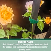 cheap Plant Care Accessories-100Pcs Reusable Adjustable Non-Slip Nylon Plant Ties, Green Perfect for Climbing Plants, Support and Garden Maintenance, Safe &amp; Easy-to-Use Gardening Tool
