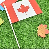 cheap World Soccer Match 2026-25Pack Small Canada Flag Handheld Mini Canadian Flag on Stick 5x8 Inch for Soccer World Summer Cup Match, Sports Events, Party Decorations, Fans Cheering