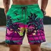 baratos Plantas e Flores Tropicais-Homens Coqueiro Natureza e Paisagem Plantas Tropicais Calção Justo de Natação Shorts de Natação Bermuda de Surf Cintura Média Havaiana férias na praia Bolsos laterais Forro de malha Cintura elástica