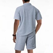 billige Basic Tees-sett for menn-Herre Polo T-skjorte drakter Joggedress Shorts og T-skjorte sett Kortermet Kort Erme Aftæpning Sommer Fargeblokk Gymnastik Fritid Jacquard Glidelås 2 deler Avslappet Feriereise Dagligdagstøy Svart