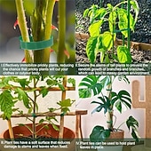 cheap Plant Care Accessories-100Pcs Reusable Adjustable Non-Slip Nylon Plant Ties, Green Perfect for Climbing Plants, Support and Garden Maintenance, Safe &amp; Easy-to-Use Gardening Tool