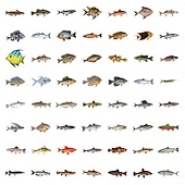 economico Adesivi murali-110 adesivi di pesci per adulti e bambini, adesivi in vinile impermeabili di animali marini oceanici per laptop, borraccia, telefono, Kindle, diario, album di ritagli, skateboard, bagagli, senza