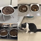 billiga Hemutrustning-Upphöjda kattskålar i rostfritt stål med metallställ, halkfri bas, 15 grader lutande, upphöjda husdjursskålar, dubbelskålsdesign, mat- och vattenskål för katter, kattunge, liten hund