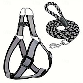economico Collari, Imbracature e Guinzagli-Guinzaglio per cani, pettorina antistrappo, gilet riflettente in nylon per cani, guinzaglio da addestramento, adatto a cani di piccola taglia