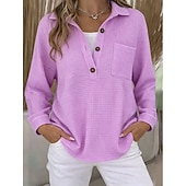 preiswerte Einfache Kapuzenpullover-Damen Pullover Sweatshirt Knöpfe Einfach Lässig Langarm Revers Normale Oberteile Straße Alltagskleidung Blau Weiß Rosa Dunkelpink Purpur Frühling Herbst Winter