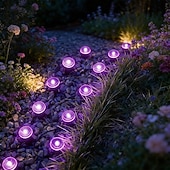cheap Solar String Lights-Solar-Powered Led Path Garden Lights  Purple Fairy Lights 30LED IP44 Waterproof  And Durable Recessed Outdoor Garden Lights Suitable For Decorative Lighting Of Walkways Lawns, Camping Parties