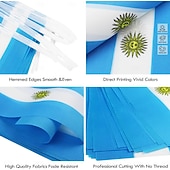 cheap World Soccer Match 2026-Argentina String Flag Pennant Banner for Soccer World Summer Cup Match 50 Flags, 46 Feet Small Mini Argentine Flags Bunting Banner for Country Decoration, School, Party, Sports Events