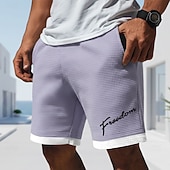 cheap Men's 3D Sweat Shorts-Men's Letter Print Funny Slang Waffle Shorts Casual Shorts Textured Shorts Mid Waist Fashion Casual Daily Vacation Elastic Drawstring Waist Shorts with Pockets Designer Clothing Apparel