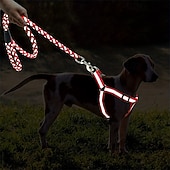 economico Collari, Imbracature e Guinzagli-Guinzaglio per cani, pettorina antistrappo, gilet riflettente in nylon per cani, guinzaglio da addestramento, adatto a cani di piccola taglia