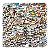 economico Adesivi murali-110 adesivi di pesci per adulti e bambini, adesivi in vinile impermeabili di animali marini oceanici per laptop, borraccia, telefono, Kindle, diario, album di ritagli, skateboard, bagagli, senza