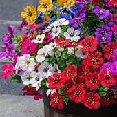 economico Fiore finti-9/18 pezzi di vivaci fiori artificiali di eucalipto, composizioni di fiori finti multicolore, 9 colori brillanti, decorazioni da appendere in plastica di alta qualità, adatte per vasi da balcone e