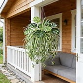 levne Event &amp; Party Supplies-Sada 2 ks = pavoučí rostlina + monstera, umělé závěsné rostliny v severském stylu, UV odolná venkovní zeleň pro domov, obývací pokoj, dekoraci na balkon, vhodné na Valentýna, Velikonoce atd.