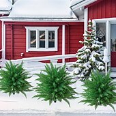 levne Umělé rostliny a zeleň-umělý zahradní rostlinný klas, umělá venkovní zeleň, 22palcová umělá rostlina do květináčů, do půdy, na terasu, do dvora a na sváteční dekoraci