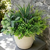 levne Umělé rostliny a zeleň-Venkovní umělé rostliny odolné proti UV záření - 12 kytic, realistické umělé eukalyptové kapradiny, levandulové zeleně na terasu, zahradu, přední verandu, dekoraci, odolné proti povětrnostním vlivům,