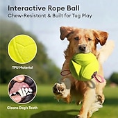 economico Giocattoli per cani-Pallone galleggiante per cani con cinghie