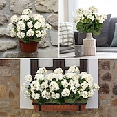 ieftine Flori Artificiale-Flori artificiale de geranium alb rezistent la UV cu 4 ramuri, 4 geraniumuri înflorite, potrivite pentru decorațiuni interioare și exterioare, grădini, nunți, Ziua Recunoștinței, Crăciun și sezonul