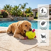 economico Giocattoli per cani-Pallone galleggiante per cani con cinghie