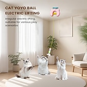 economico Giochi per gatti-Giocattolo elettrico per gatti | Gioco interattivo elettrico per animali domestici - Giocattolo per gattini con sensore di movimento, per esercizio fisico, allenamento, arricchimento, sollievo dalla