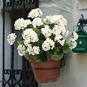 ieftine Flori Artificiale-Flori artificiale de geranium alb rezistent la UV cu 4 ramuri, 4 geraniumuri înflorite, potrivite pentru decorațiuni interioare și exterioare, grădini, nunți, Ziua Recunoștinței, Crăciun și sezonul