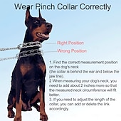 Недорогие Ошейники, поводки и упряжки для собак-Собаки Коты Ошейники Регулируется Компактность Прочный на открытом воздухе Прогулки