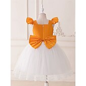 ieftine Costume pentru fete-Sirenă Prințesă Rochii Costum Cosplay Ținute Film Modă Drăguţ Fuste de balet for Fete Pentru copii Halloween Mascaradă Zilnic Performanță Concediu