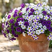 abordables Flores artificiales-30 flores artificiales con margaritas en degradado de tres colores, perfectas para la decoración de jardines exteriores en primavera. &amp;Decoración de temporada de verano, apta para uso
