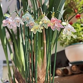 お買い得  装飾的な庭の賭け-庭の装飾用支柱10本、人工ユリとスズランの花、太陽の下でキラキラ輝く、屋外の鉢植え植物や装飾的な造園、多肉植物の盆栽の装飾用のミニガーデン支柱セット