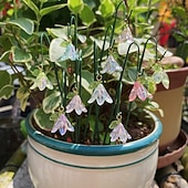 お買い得  装飾的な庭の賭け-庭の装飾用支柱10本、人工ユリとスズランの花、太陽の下でキラキラ輝く、屋外の鉢植え植物や装飾的な造園、多肉植物の盆栽の装飾用のミニガーデン支柱セット