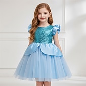 halpa Tyttöjen puvut-Maaginen noita Prinsessa Mekot Cosplay-Asut Asut Elokuva Muoti söpö tyyli Balettihameet for Tyttöjen Lasten Naamiaiset Päivittäin Juhla Pyhäpäivä