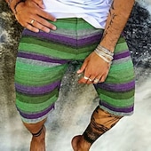 levne Geometrický tisk-Pánské Cikánský Barevná Proužky Tepláky Plážové šortky Terry šortky Středně vysoký pas Retro Denní Streetwear Dovolená Šňůrky Elastický pas 3D tisk Návrhář Oblečení
