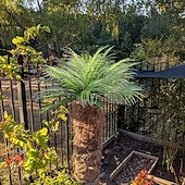 ieftine Plante artificiale și verdeață-2/4 buc frunze de palmier artificiale cu ferigă de fier mare cu 9 capete, plante tropicale simulate realiste din junglă pentru decorarea pereților, frunziș artificial de frunze de palmier pentru casă,