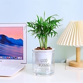 お買い得  花瓶＆バスケット-自動給水式植木鉢、緑のツタ型水耕栽培プランター、樹脂製多肉植物鉢、透明プラスチック製蘭鉢、吸水性室内植物容器