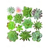 economico Piante e Verde Artificiale-Piante grasse artificiali, eleganti decorazioni finte in vaso per scrivania e davanzale, composizioni realistiche di piante grasse senza vaso per casa, ufficio e centrotavola.