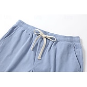 tanie Szorty casualowe-Męskie Szorty waflowe Szorty Letnie szorty Szorty na co dzień Ściągana na sznurek Kieszeń Elastyczny pas Równina Komfort Oddychający Krótki Na zewnątrz Urlop Sportowy Codzienny Biały Jasnozielony