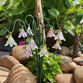 お買い得  装飾的な庭の賭け-庭の装飾用支柱10本、人工ユリとスズランの花、太陽の下でキラキラ輝く、屋外の鉢植え植物や装飾的な造園、多肉植物の盆栽の装飾用のミニガーデン支柱セット