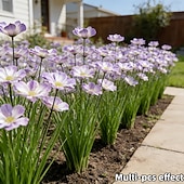 baratos Flor artificial-Conjunto de 7 flores artificiais para exterior e plantas bulbosas, réplicas em plástico de margaridas africanas e plantas rasteiras bulbosas, flores artificiais realistas de grama-cebola, adequadas