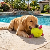 economico Giocattoli per cani-Pallone galleggiante per cani con cinghie