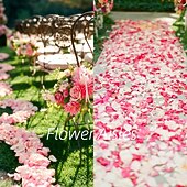 abordables Flores artificiales-999 piezas de pétalos de rosa románticos de tela no tejida para bodas, graduaciones, fiestas, cumpleaños, noches románticas especiales, pedidas de mano, rojo, blanco, rosa, morado, azul