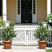  أشجار اصطناعية مزروعة في أصص مع أوتاد أرضية، وشجيرات كاميليا مقاومة للأشعة فوق البنفسجية، للاستخدام الداخلي &ديكورات خارجية في الصيف والخريف، ديكورات حفلات الزفاف في الحدائق المنزلية، ديكورات نباتات