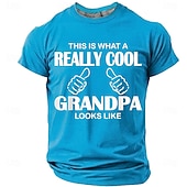 economico Magliette divertenti da uomo-Ecco come appare un nonno davvero fantastico. Maglietta da uomo con stampa divertente e spiritosa, maniche corte, girocollo, casual, regalo, abbigliamento firmato, taglie S, M, L, XL, XXL.