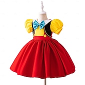  Sirenă Prințesă Rochii Costum Cosplay Ținute Film Modă Drăguţ Fuste de balet for Fete Pentru copii Mascaradă Zilnic Petrecere Concediu