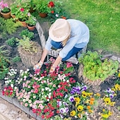 cheap Artificial Plants &amp; Flowers-20 Pcs Faux Stone Garden Edging Border Imitation Fence DIY Garden Edging Border No Dig,16 ft Lawn Edging for Landscaping,Plastic Fencing Lawn Border,Imitation Stone Fence for DIY Outdoor Patio