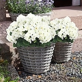 ieftine Flori Artificiale-Flori artificiale de geranium alb rezistent la UV cu 4 ramuri, 4 geraniumuri înflorite, potrivite pentru decorațiuni interioare și exterioare, grădini, nunți, Ziua Recunoștinței, Crăciun și sezonul