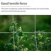 cheap Garden &amp; Urban Farming-Garden Climbing Net Trellis Netting Heavy-Duty Plant Support Stand for Flowers Vegetable Vine Orchard Gardening Tools