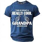 economico Magliette divertenti da uomo-Ecco come appare un nonno davvero fantastico. Maglietta da uomo con stampa divertente e spiritosa, maniche corte, girocollo, casual, regalo, abbigliamento firmato, taglie S, M, L, XL, XXL.