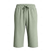 ieftine Vacanţă-Bărbați Pantaloni scurți din in Pantaloni scurți de vară Pantaloni scurți de plajă Cordon Buzunar Talie elastică Culoare solida Confort Respirabil Lungime gambă Casual Zilnic Plajă Vacanță Modă Negru
