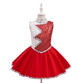  Îmbrăcăminte sportivă Costum de prințesă Cosplay Îmbrăcați-vă Paiete Pentru copii Fete Mascaradă Săptămâna Cărții Petrecere Zilnice Festival Îmbrăcați-vă